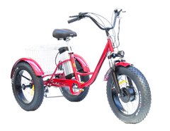 Электровелосипед трехколесный ARDIS 20 CHARGE