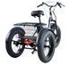 Электровелосипед трехколесный ARDIS 20 CHARGE 48V-500W-13Ah